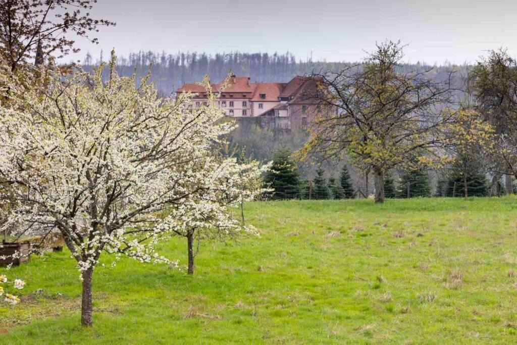 Maison Privilege Nature A La Petite Pierre Екстер'єр фото