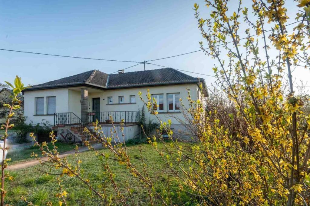 Maison Privilege Nature A La Petite Pierre Екстер'єр фото
